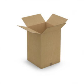 Caisse carton brune RAJA