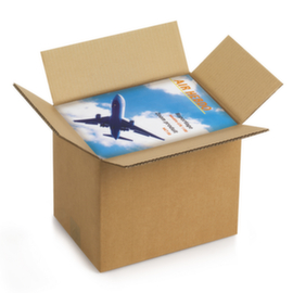 Caisse carton brune RAJA