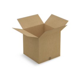 Caisse carton brune RAJA