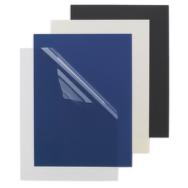 100 couvertures en plastique transparent Fellowes®