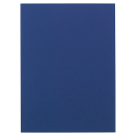 100 couvertures en carton bleu Fellowes®