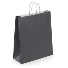 Sac kraft à poignée torsadée RAJA