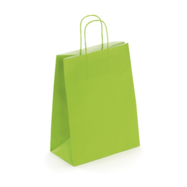 Sac kraft à poignée torsadée RAJA