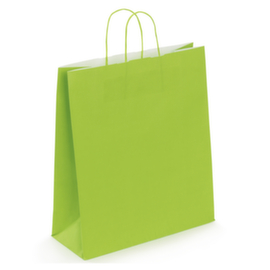 Sac kraft à poignée torsadée RAJA