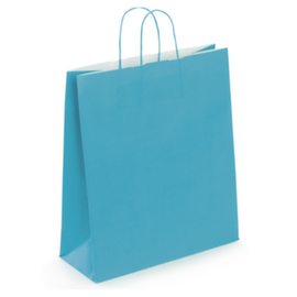 Sac kraft à poignée torsadée RAJA