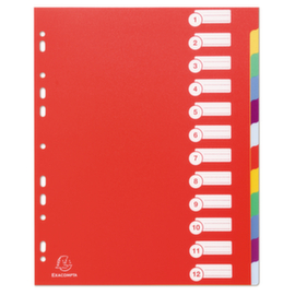 Intercalaire maxi en polypropylène (largeur 24,5 cm)