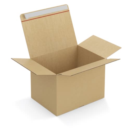 Widerstandsfähiger E-Commerce Faltkarton