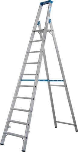 Krause Stehleiter STABILO® Professional, 10 Stufen mit R13-Belag