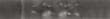 detail_01 S