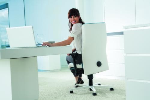 ROVO-CHAIR Siège de bureau pivotant ROVO XP 4030 EB 2-04 avec appui-tête + accoudoirs, noir/blanc