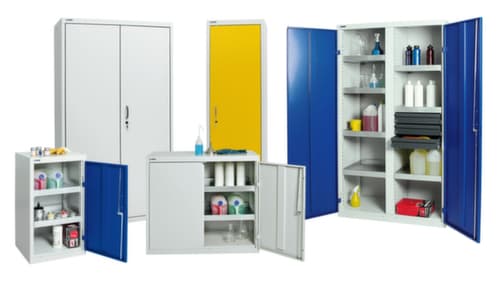 stumpf Armoire de protection de l'environnement en acier, hauteur x largeur x profondeur 900 x 500 x 500 mm
