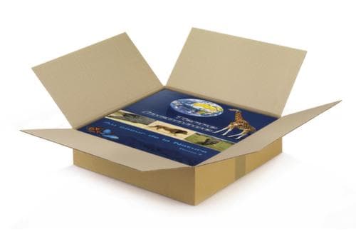 Caisse en carton ondulé, plate, 1 onde, 400 x 400 x 100 mm
