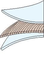 papier huilé