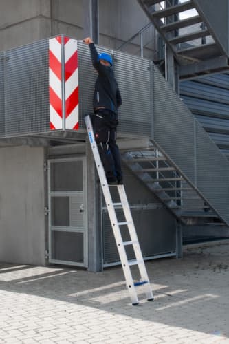 Krause Échelle coulissante STABILO® Professional +S avec échelons et marches