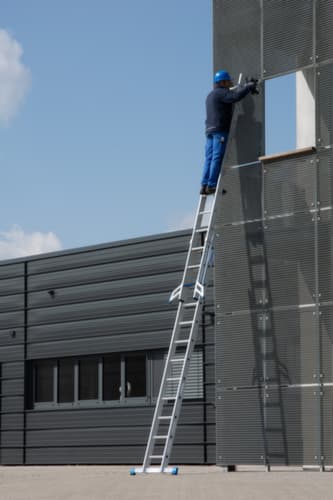 Krause Échelle coulissante STABILO® Professional +S avec échelons et marches