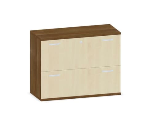 Gera Armoire pour dossiers suspendus Pro, 2 extensions