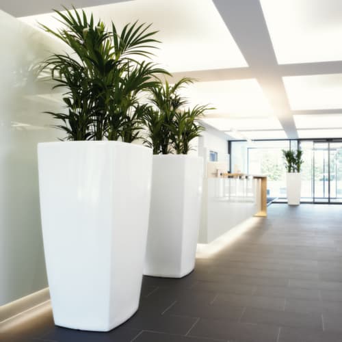 jardinière trapézoïdale degardo® TREVIA I