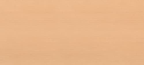 KRAFTWERK® Top en bois pour servante d'atelier BT1100