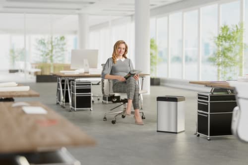 Hailo Poubelle Big-Box Swing L avec couvercle oscillant à fermeture automatique, 35 l