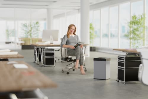 Hailo Poubelle Big-Box Swing L avec couvercle oscillant à fermeture automatique, 35 l, argent
