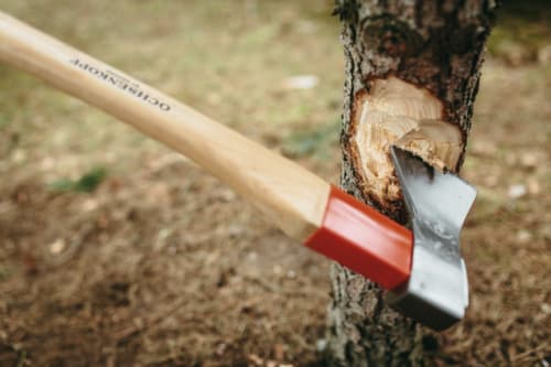 OX 620 H-1257 Hache-forêt universelle en or ROTBAND-PLUS 1250 g