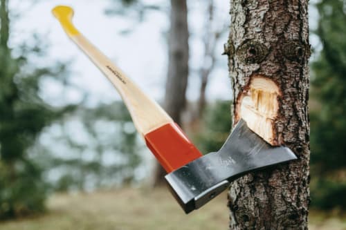 OX 620 H-1257 Hache-forêt universelle en or ROTBAND-PLUS 1250 g