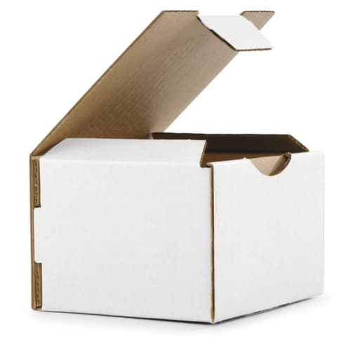 carton postal