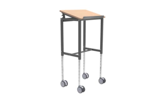 Kongamek Chariot de table réglable en hauteur 600x400 mm, force 200 kg, 1 plateaux
