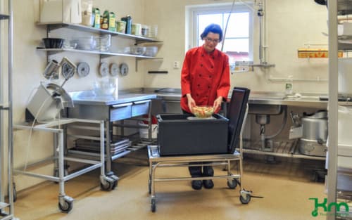 Kongamek Chariot avec barre de poussée en acier inoxydable, force 100 kg, plateau longueur x largeur 735 x 390 mm