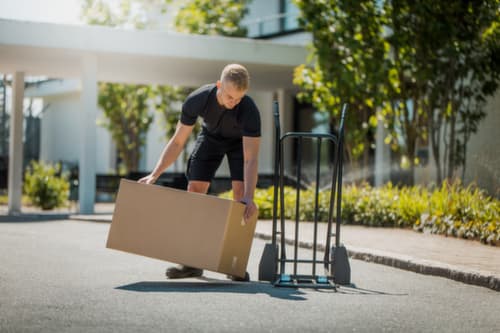Kongamek diable de manutention avec pelle pliable, force 250 kg, air bandage