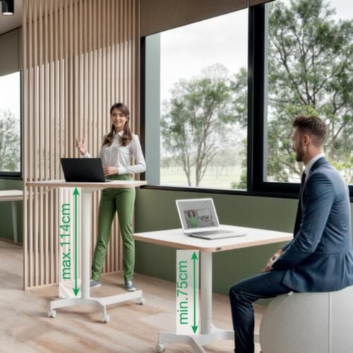 Leitz Bureau à hauteur réglable Ergo