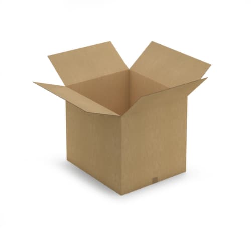 Caisse carton brune RAJA