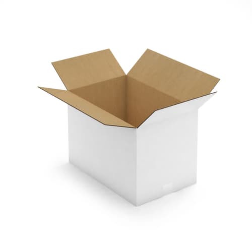 Caisse carton blanche RAJA