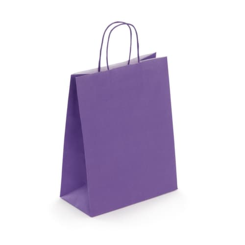 Sac kraft à poignée torsadée RAJA