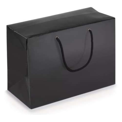 25 sacs boîtes noirs 310 x 150 x 220 mm