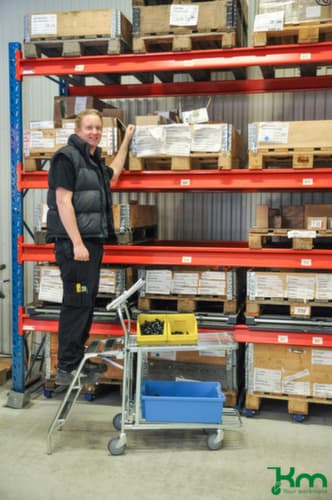 Kongamek Chariot à dossier, force 300 kg