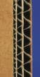 detail_01 S