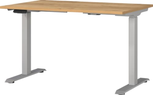 Elektrisch höhenverstellbarer Schreibtisch GW-MAILAND 7907