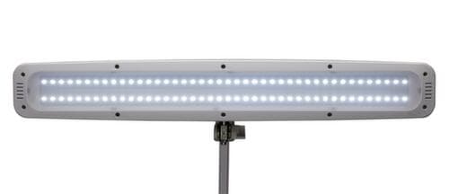 MAUL lampe de table à DEL avec variateur MAULwork, lumière blanc froid (blanc lumière du jour), blanc