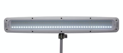 MAUL lampe de table à DEL avec variateur MAULwork, lumière blanc froid (blanc lumière du jour), blanc