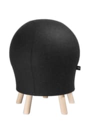 Topstar Ballhocker Sitness 5 Alpine, Sitz anthrazit, 4 Füße
